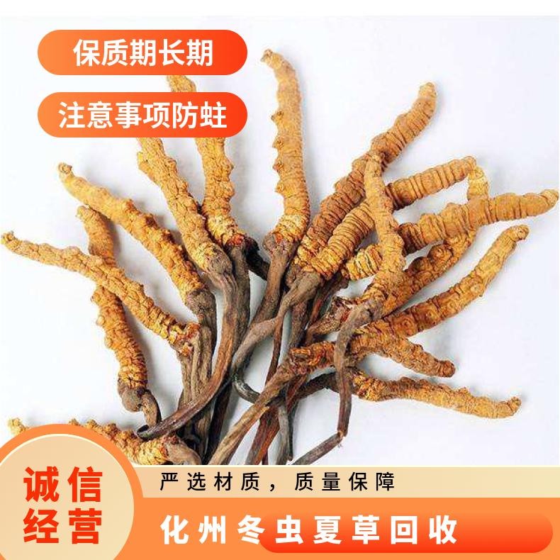 化州本地冬虫夏草回收店铺 长期收购虫草燕窝 回收茅台酒洋酒红酒