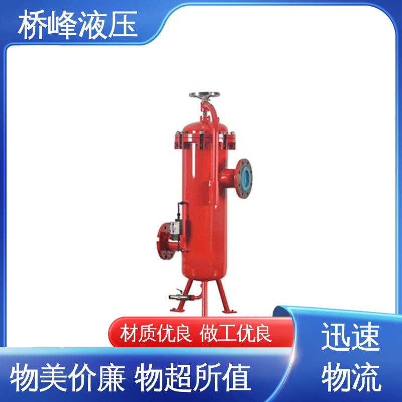 桥峰 支持定制 性能稳定 品质优良 精良大流量双筒过滤器