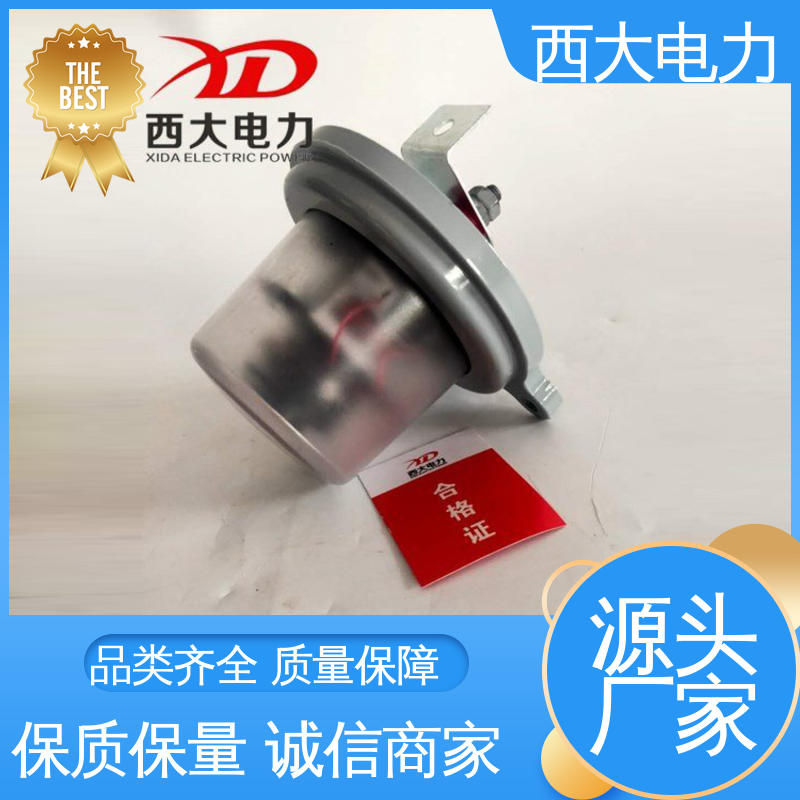 外形美观 做工细致 JCQ-10/800型 放电计数器在线监测仪 西大电力