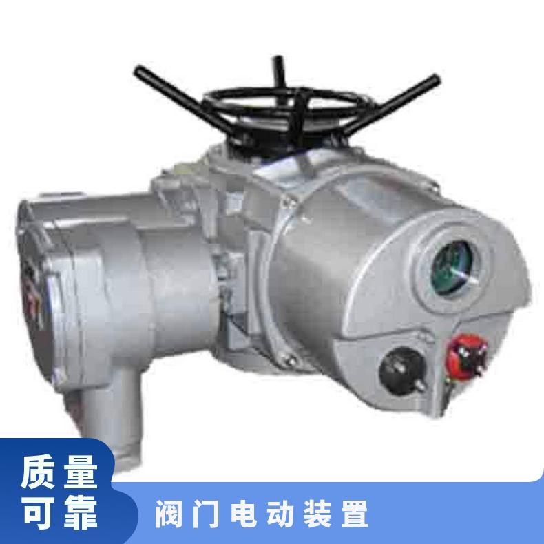 电动阀门执行器 智能型开关量输出DZW250-24T结构