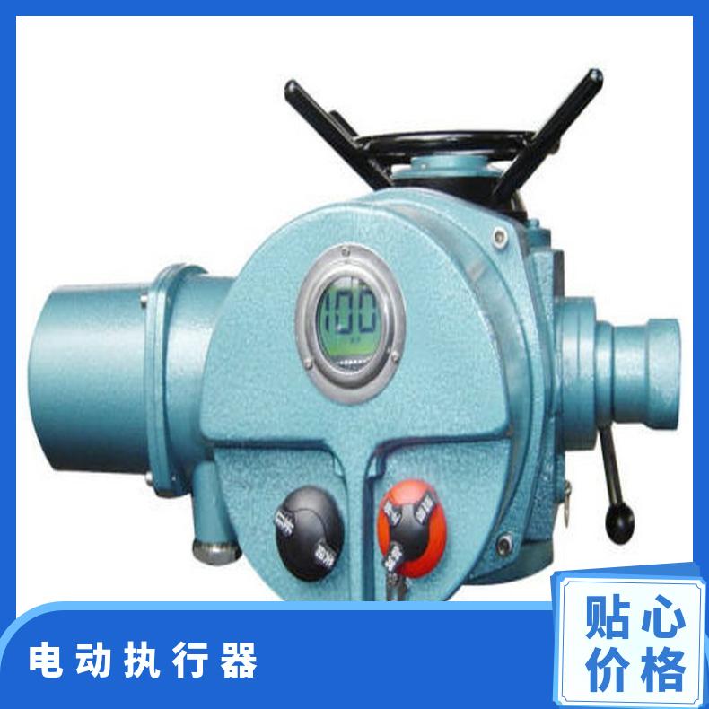 博尔电动装置 DZW45-24-A00-DSI一体化 执行器