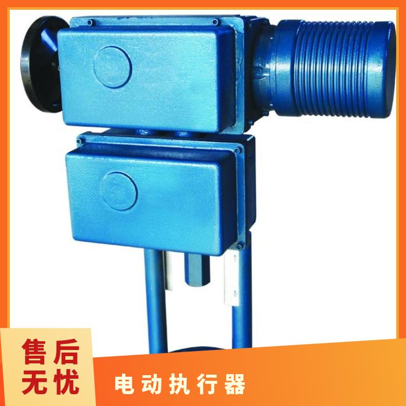 伯纳德电动执行机构 BS-60/F30H RJ600/F 液偶执行器