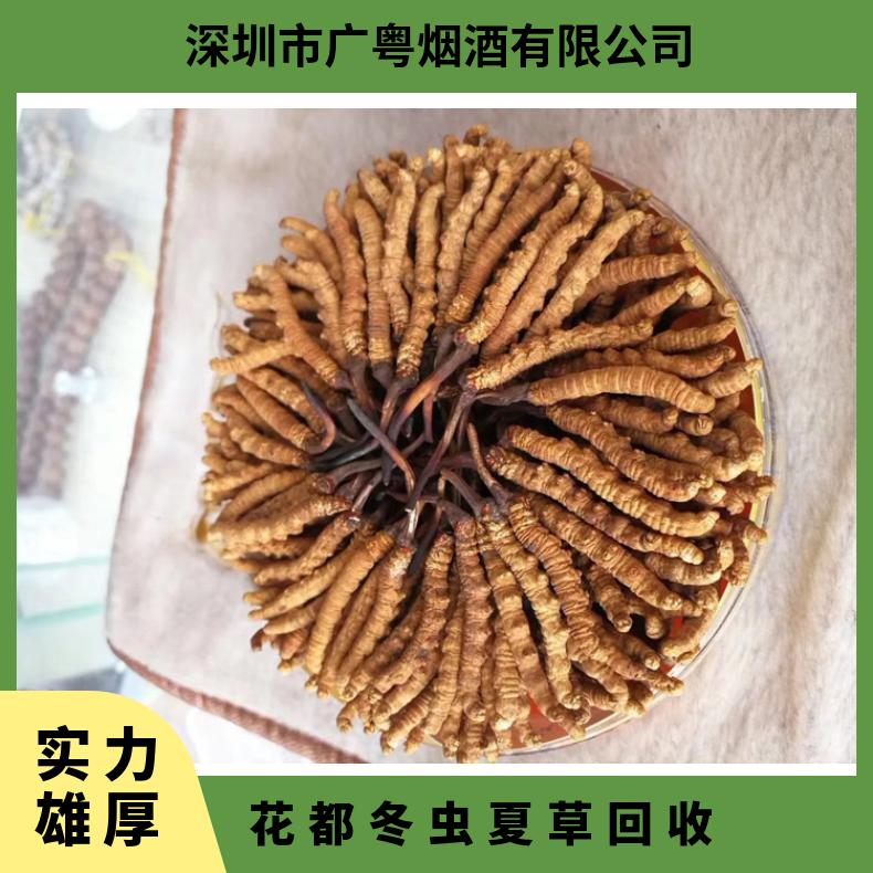 花都冬虫夏草回收 散装礼盒装虫草上门收购茅台酒洋酒红酒名酒礼品