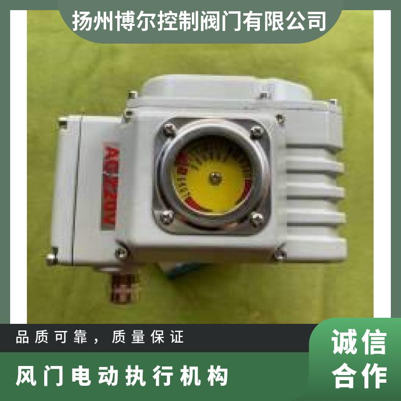 开关型风门电动执行机构 DQW60系列装置 DZW/ZWZB 其他博尔 法兰