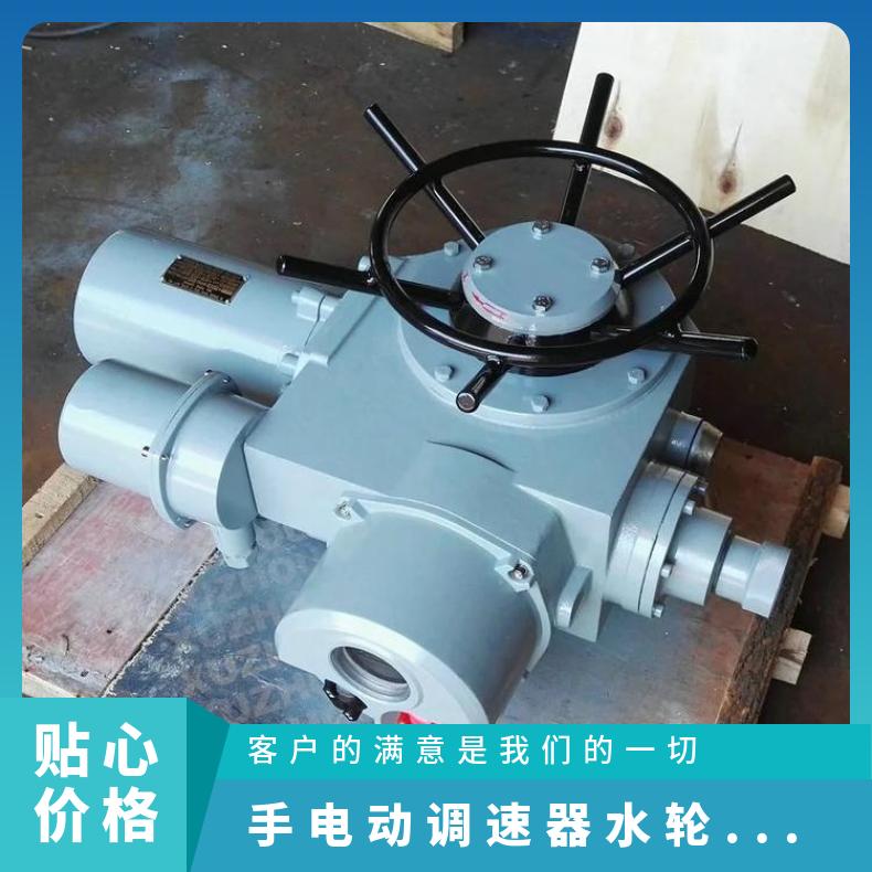 水轮机手、电动自动切换调速器 ZB/QBDZBDQB 100-1000 其他博尔