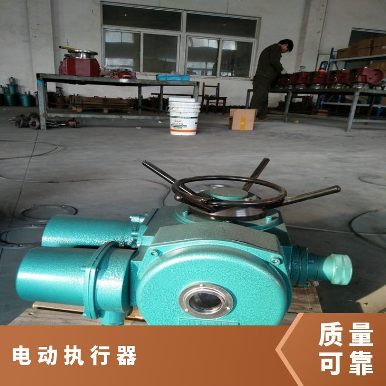 DZW10电动装置Z15 执行器20 头30阀 是 50kg 博尔电装