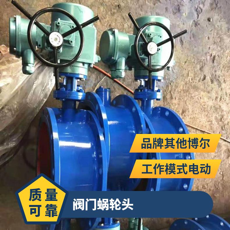 QDX3电动阀门蜗轮头 厂家 参数 ZB/QBDZBDQB 法兰 其他博尔