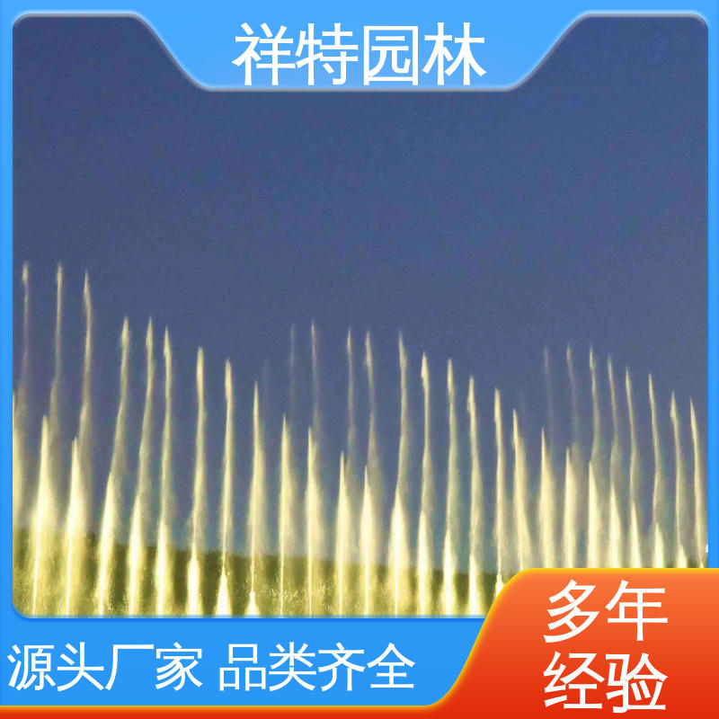 广场公园水景 文旅夜景音乐喷泉 减少尘降气温 经久耐用 祥特