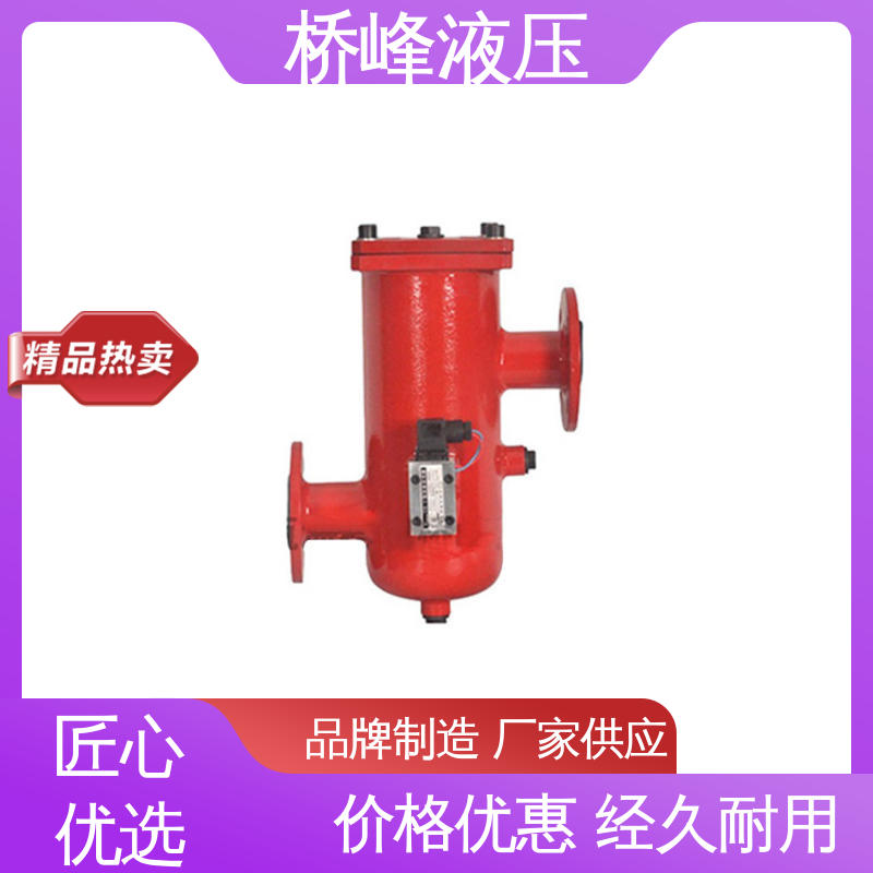 桥峰 值得信赖 精良大流量双筒过滤器 性能稳定 支持定制