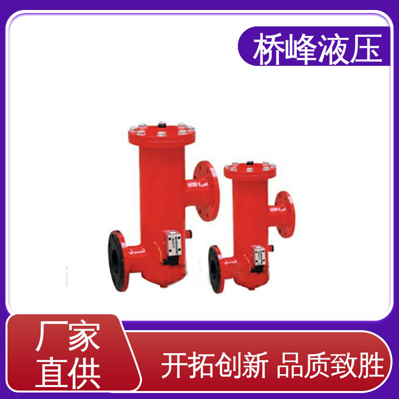 桥峰 精工制造 品质优良 精良大流量双筒过滤器 发货迅速