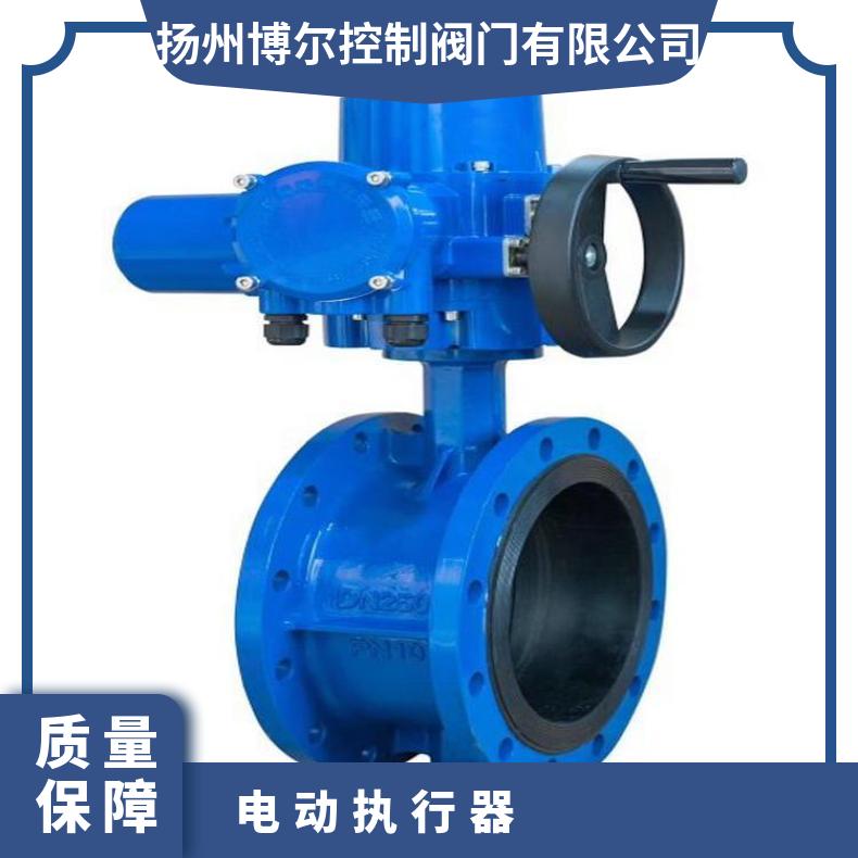 HQ 精小型电动装置 部分回转执行器 可以加工 D941X 其他博尔