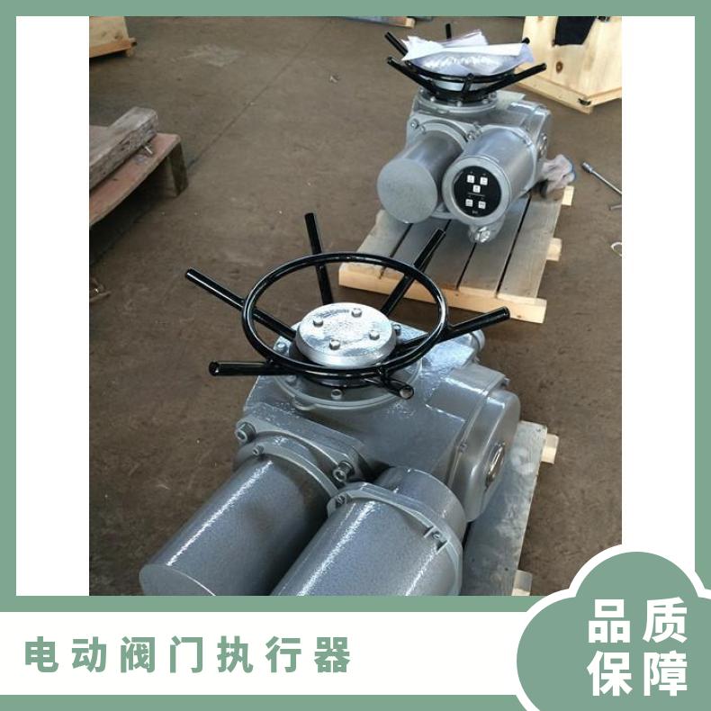 电动头DZW250-24RB 35018 180阀门装置 其他博尔 2SQ30DKJ/ZKJ