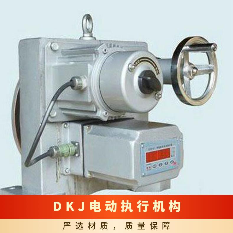 DKJ电动执行器位置发送器 其他博尔 可以加工 法兰 5kg~500kg