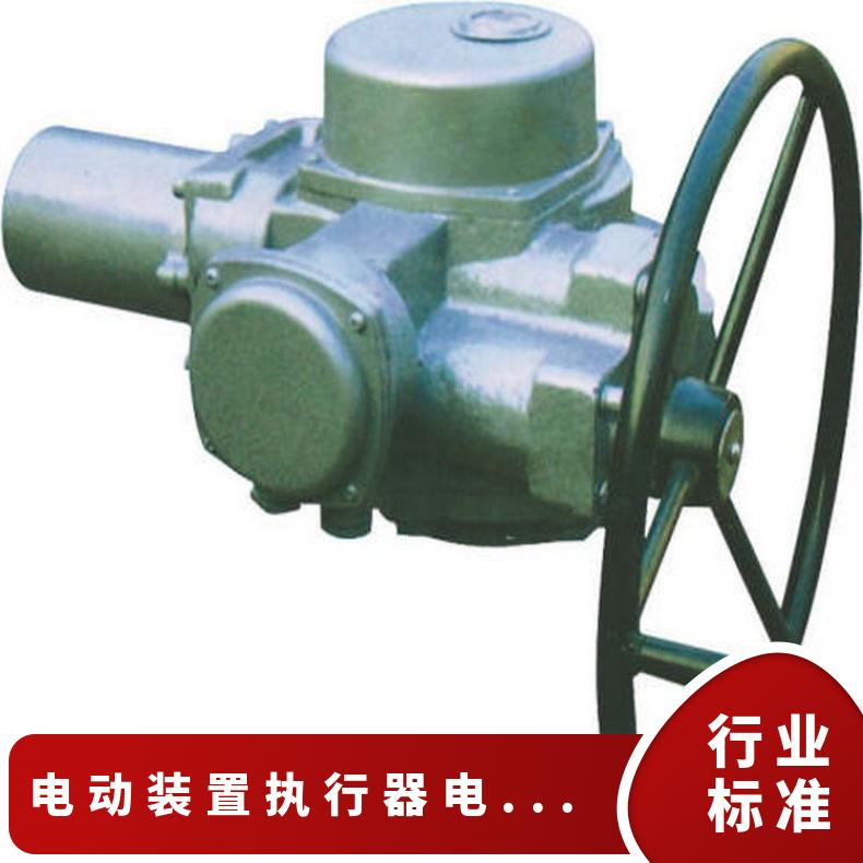 DZW250-24-A00-WK电动执行器 ZB/QBDZBDQB 法兰 其他博尔