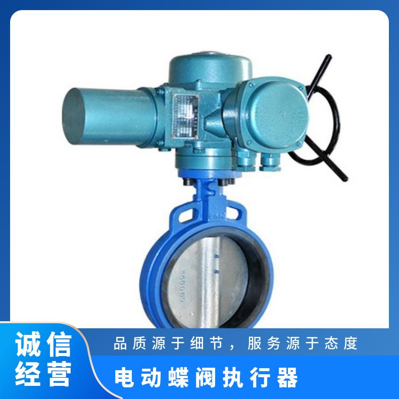 智能一体化防爆型角行程电动执行器 QB20蝶阀电装