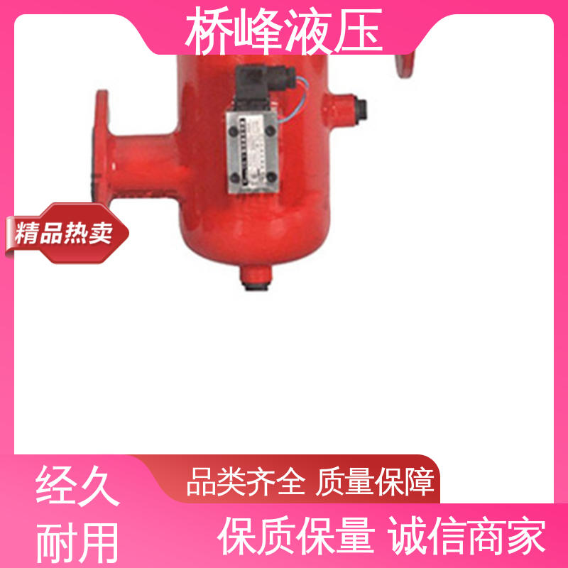 性能稳定 值得信赖 精良大流量双筒过滤器 规格齐全 桥峰