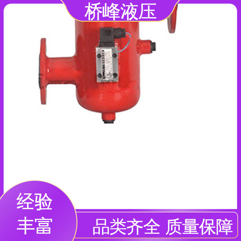 发货迅速 品质优良 精良大流量双筒过滤器 方便快捷 桥峰