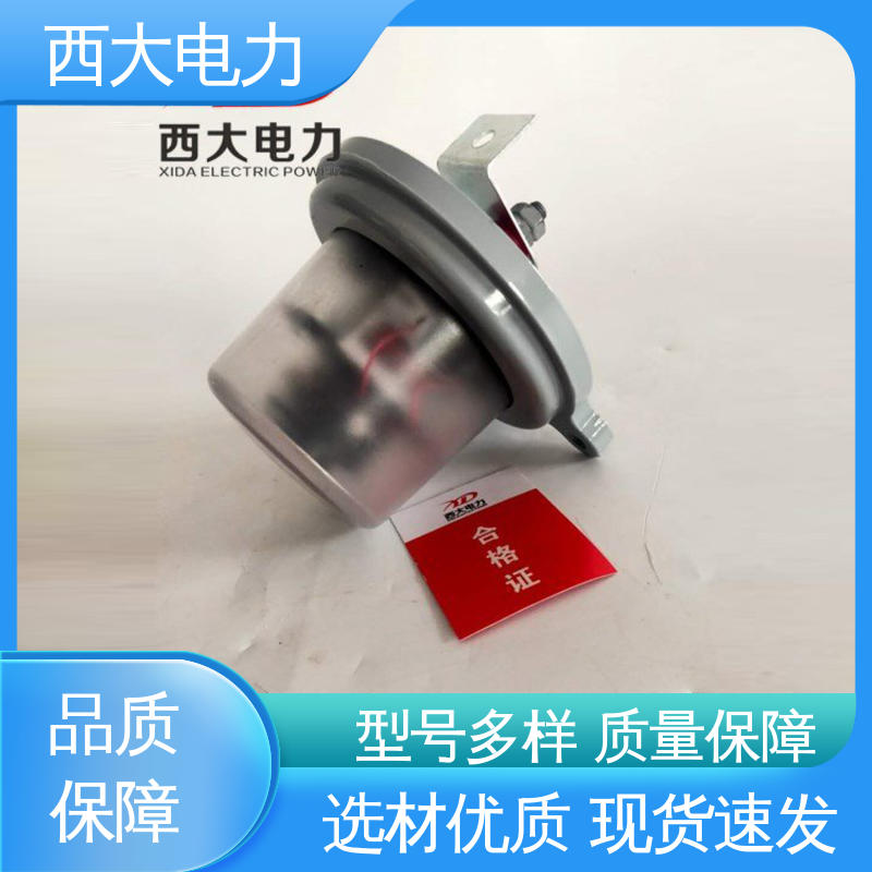 西大电力 安装方便 操作简单 避雷器动作计数仪 JCQ-10/800型