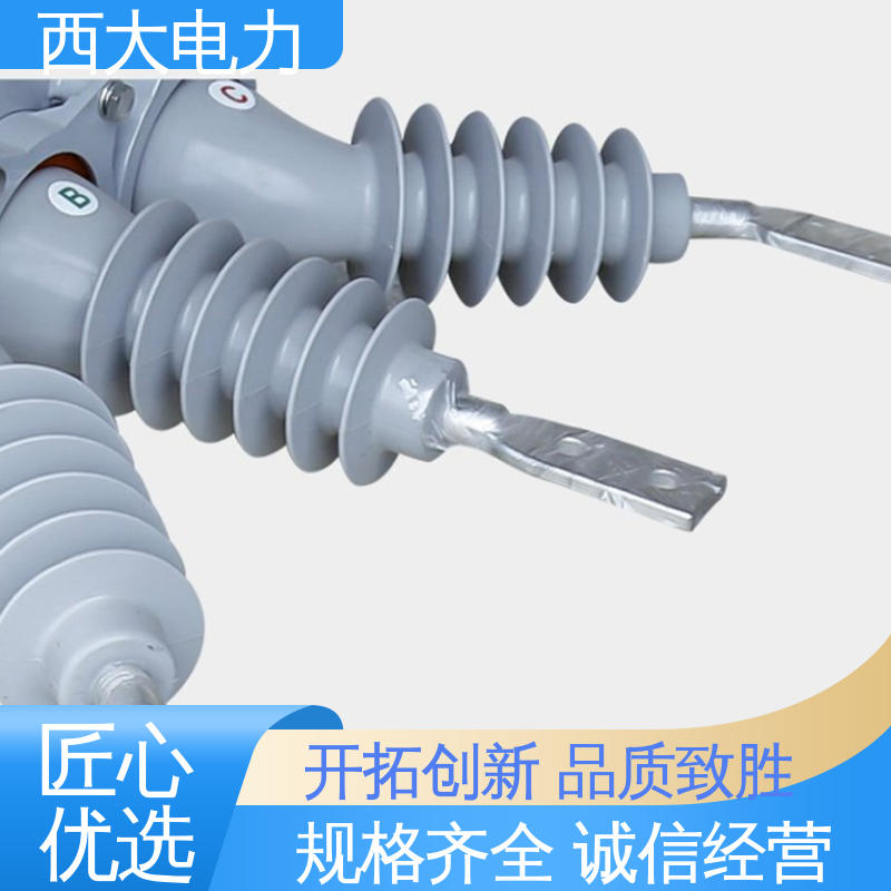 西大电力 外形美观 做工细致 看门狗智能真空断路器 ZW20-12F