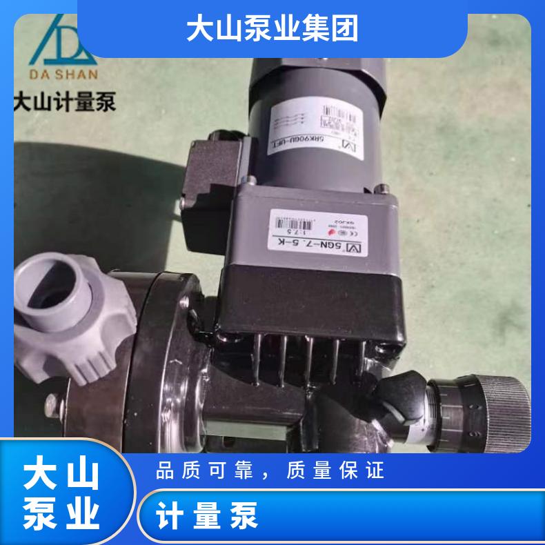 双柱塞式计量泵 耐腐蚀 铸铁铝 矿山 水处理 大山泵业