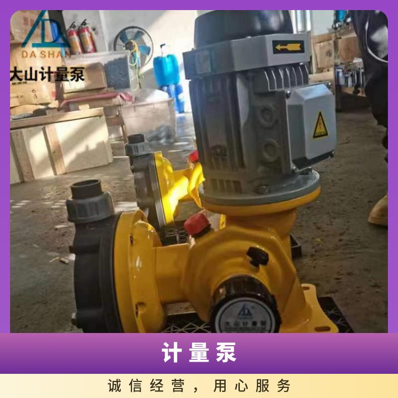双柱塞式计量泵 耐腐蚀 铸铁铝 矿山 水处理 大山泵业