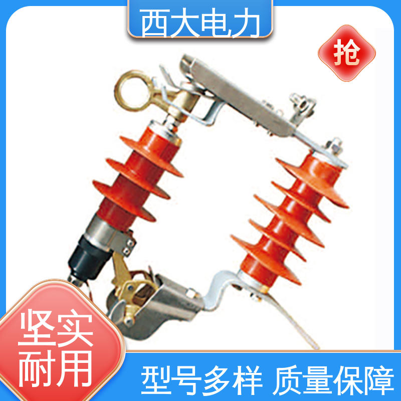 轻巧耐用 安装灵活 HY5WS-17 高压跌落式防雷器 西大电力