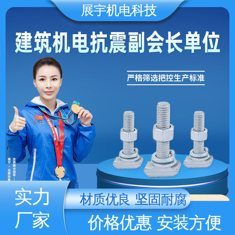 展宇 碳钢 T型螺栓 经久耐用 无毛刺 耐疲劳性能好