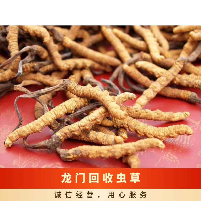回收虫草商家电话 高价收购茅台酒洋酒红酒冬虫夏草名酒高档礼品