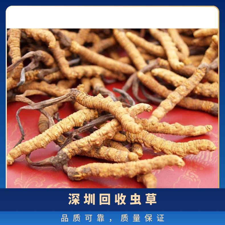 回收虫草商行上门电话 长期在线收购礼盒装冬虫夏草燕窝名酒礼品
