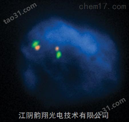 单波段滤光片组用于FISH和密集复用
