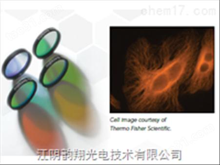 Qdot?单波段滤光片组