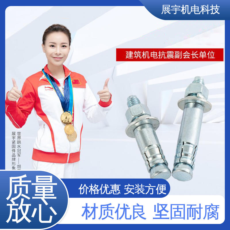 展宇 碳钢 化学螺栓 受力均匀 表面光洁 抗拉强度大