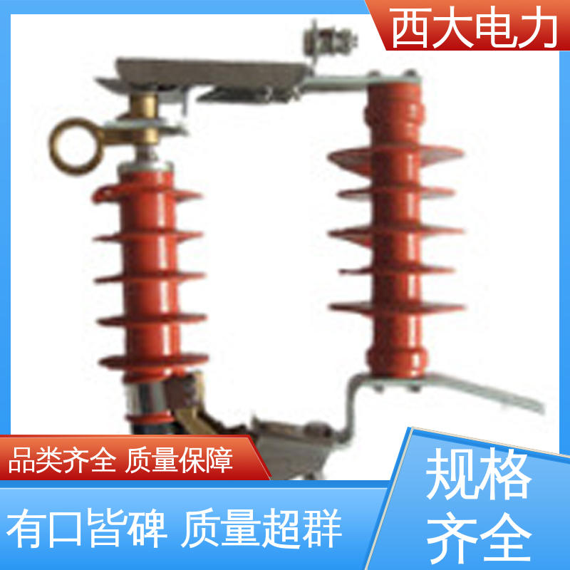 西大电力 支持根据图纸定做 跌落式氧化锌避雷器 