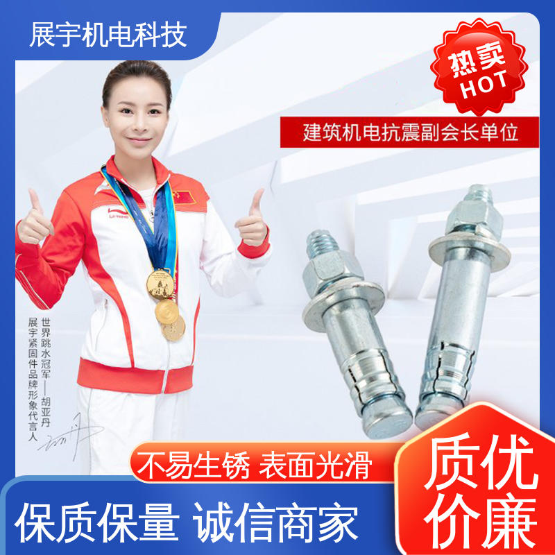 展宇 碳钢 高强度螺栓 美观实用 硬度高 机械性能好