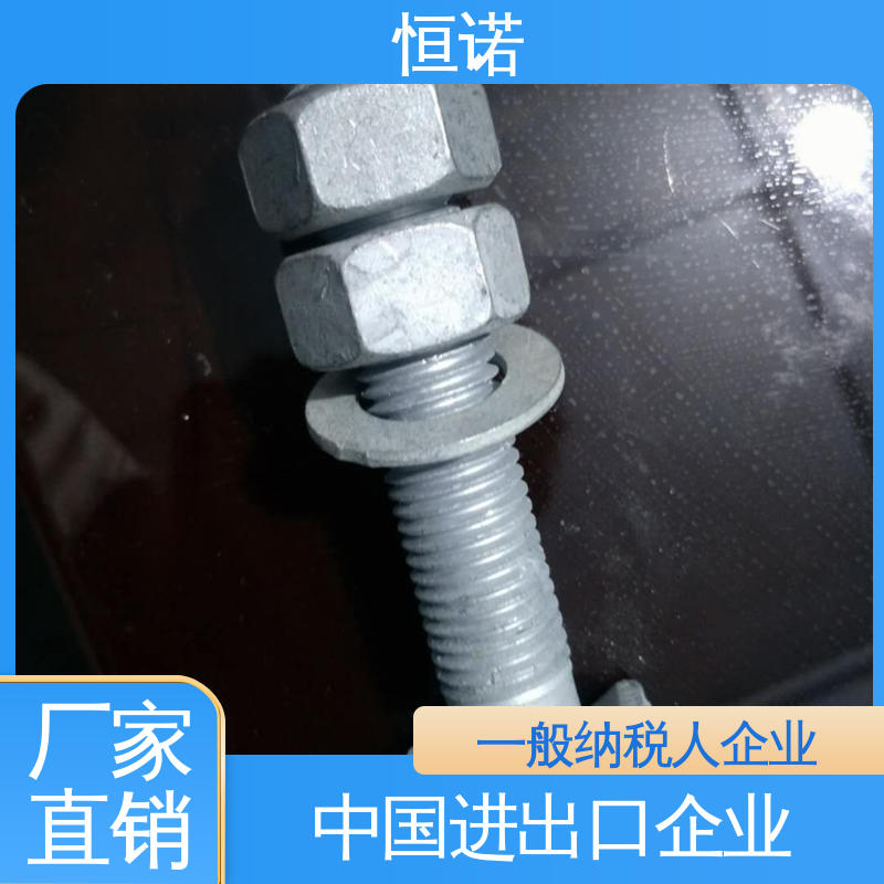 恒诺 品质保证 图纸定做 哈芬槽T型螺栓8.8级 发货及时