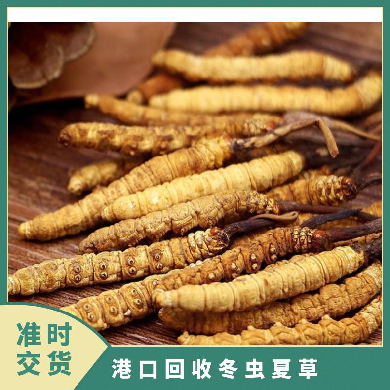 回收冬虫夏草商家 长期上门鉴定收购老酒名酒礼品 广粤商行