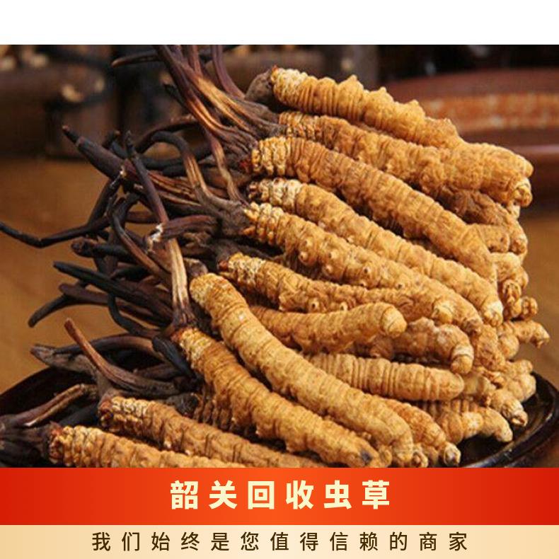 回收虫草商家诚意高价上门收购礼盒装散装冬虫夏草 名酒礼品