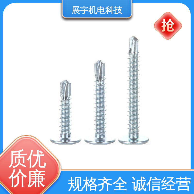 展宇 碳钢1022A 自攻螺丝 防尘防潮效果好 适用范围广