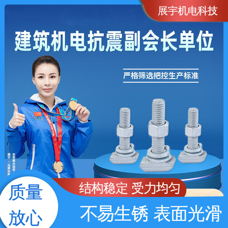 展宇 碳钢 T型螺栓批发 坚固耐腐 安装方便 耐疲劳性能好