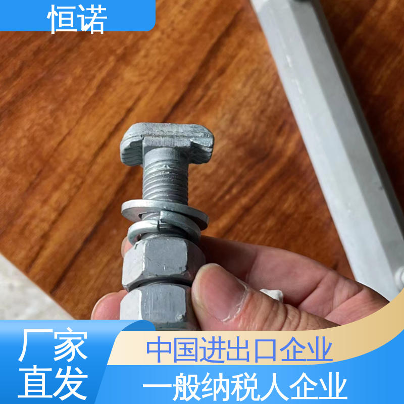 可寄样品 厂家供应 管廊支架配件T型螺栓 牢固耐用 恒诺