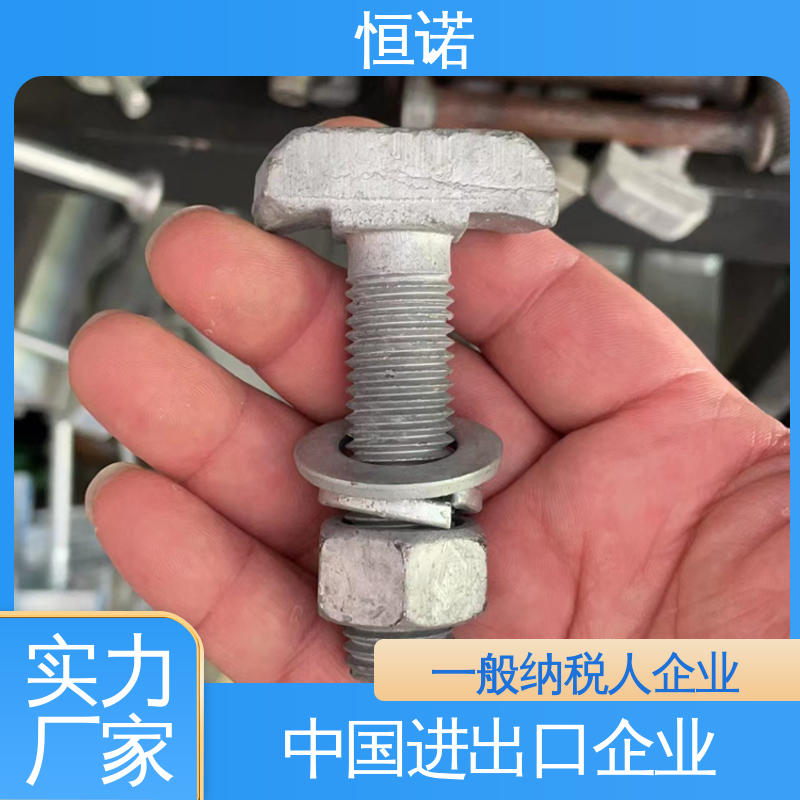 厂家供应 坚固耐用 高强度预埋槽T型螺栓 可寄样品 恒诺