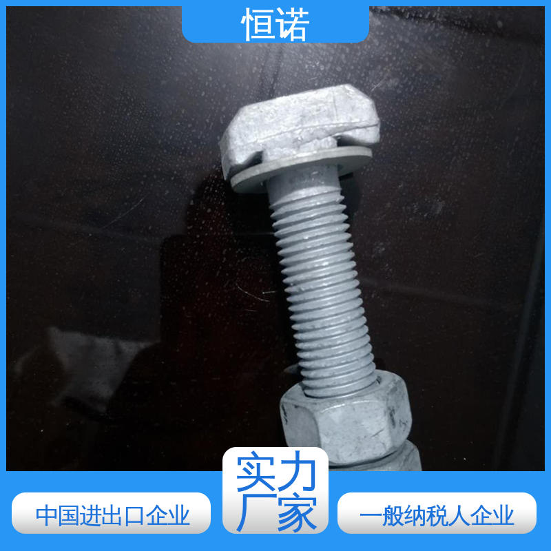 恒诺 图纸定做 热镀锌8.8级T型螺栓 品质保证 厂家供应