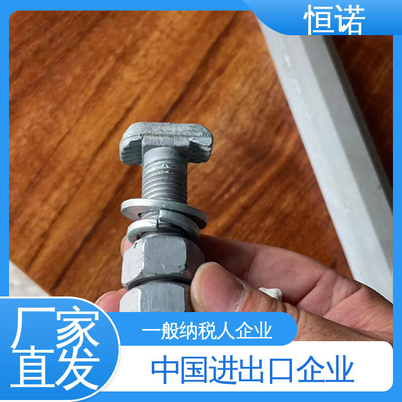 发货及时 规格齐全 来图定做 管廊托臂支架T型螺栓 恒诺