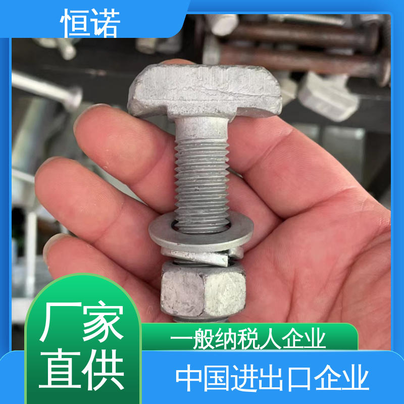 恒诺 订做异型件 品质保证 管廊托臂支架T型螺栓 实体厂家