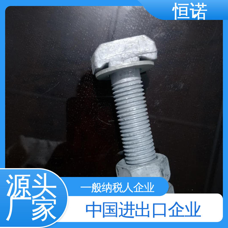 抗拉耐腐蚀 幕墙T型螺栓 厂家供应 支持异形件定制 恒诺
