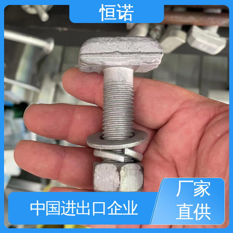 恒诺 实体厂家 抗拉耐腐蚀 管廊托臂T型螺栓 订做异型件