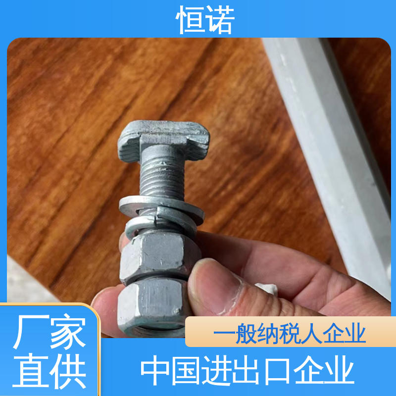 生产厂家 管廊托臂T型螺栓 大量现货 支持异形件定制 恒诺