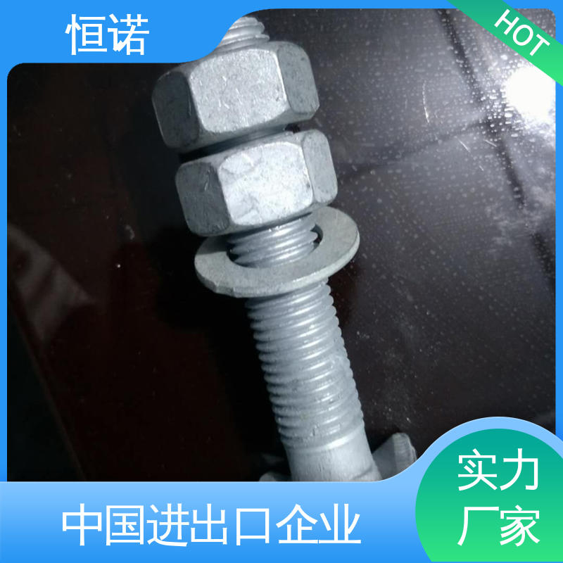 发货及时 防腐性好 按需定制 地铁预埋槽道T型螺栓 恒诺