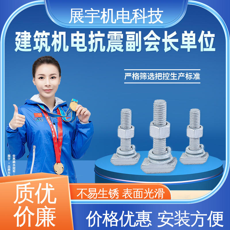 展宇 碳钢 T型螺栓批发 结构稳定 不变形 使用寿命长