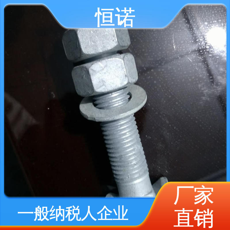 规格齐全 厂家供应 图纸定做 管廊支架配件T型螺栓 恒诺